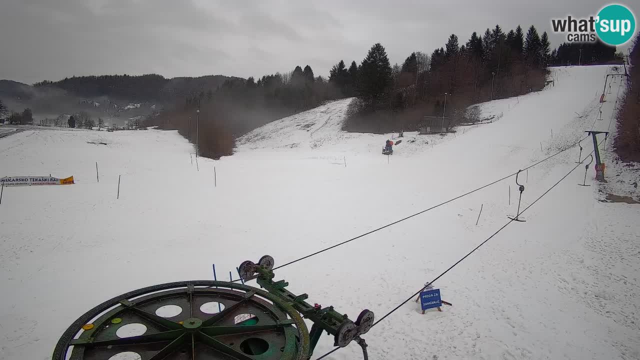 Webcam Smučišče Senožeta – Stazione sciistica a Srednja Vas vicino Bohinj