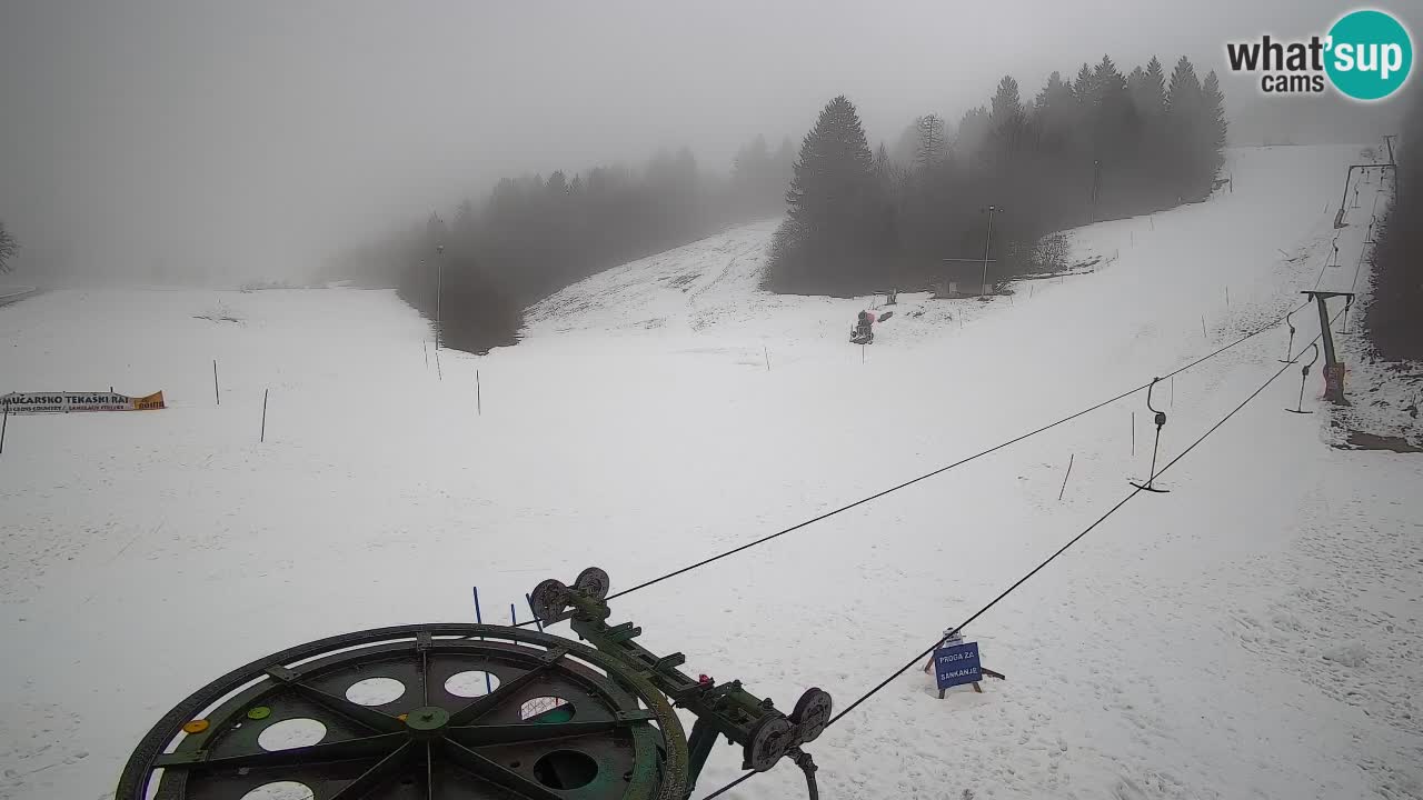 Webcam Smučišče Senožeta – Ski Resort Live View near Bohinj