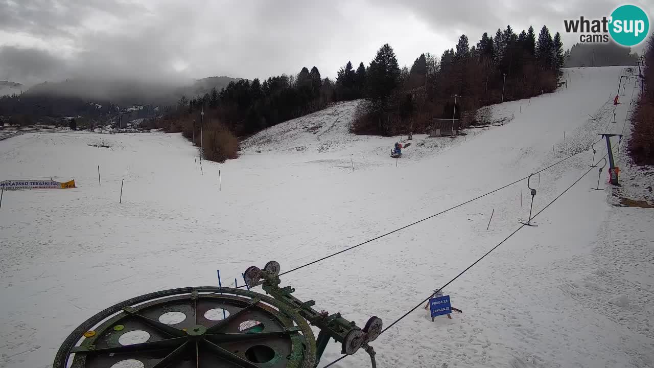 Webcam Smučišče Senožeta – Stazione sciistica a Srednja Vas vicino Bohinj