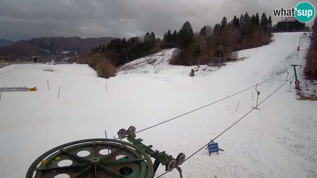 Spletna kamera Smučišče Senožeta – smučarsko središče v Srednji vasi pri Bohinju