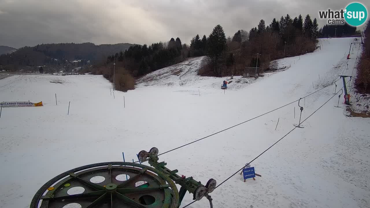 Webcam Smučišče Senožeta – Station de ski à Srednja Vas près de Bohinj