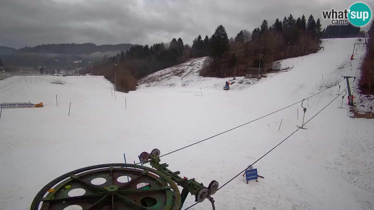 Webcam Smučišče Senožeta – Skigebiet in Srednja Vas bei Bohinj
