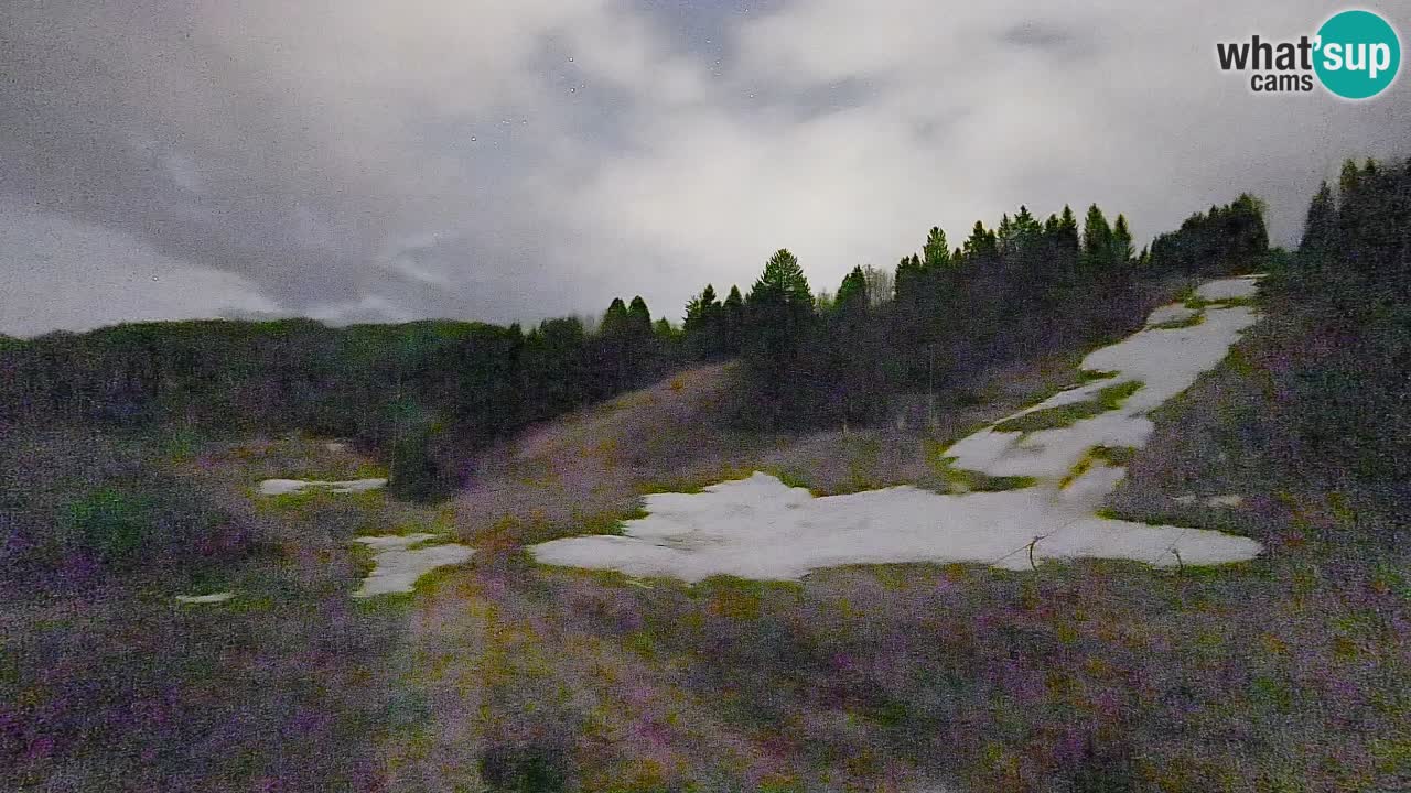 Spletna kamera Smučišče Senožeta – smučarsko središče v Srednji vasi pri Bohinju