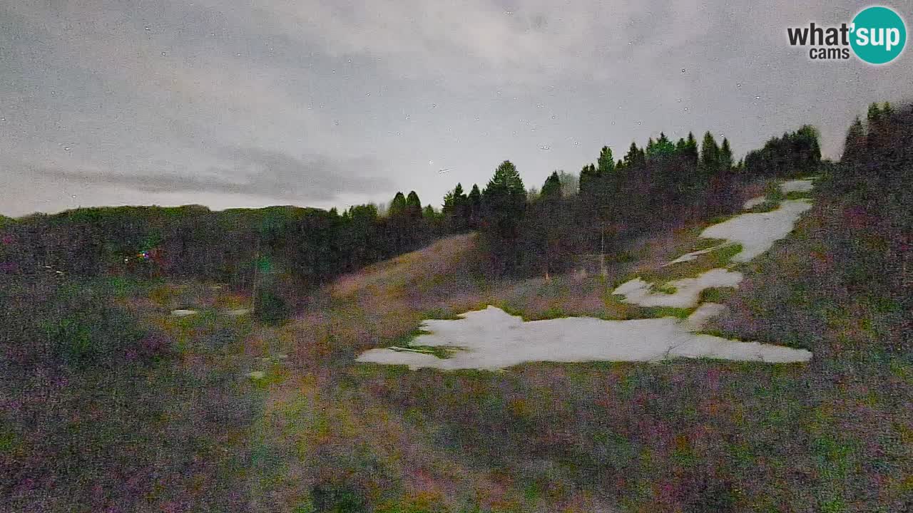 Webcam Smučišče Senožeta – Skigebiet in Srednja Vas bei Bohinj