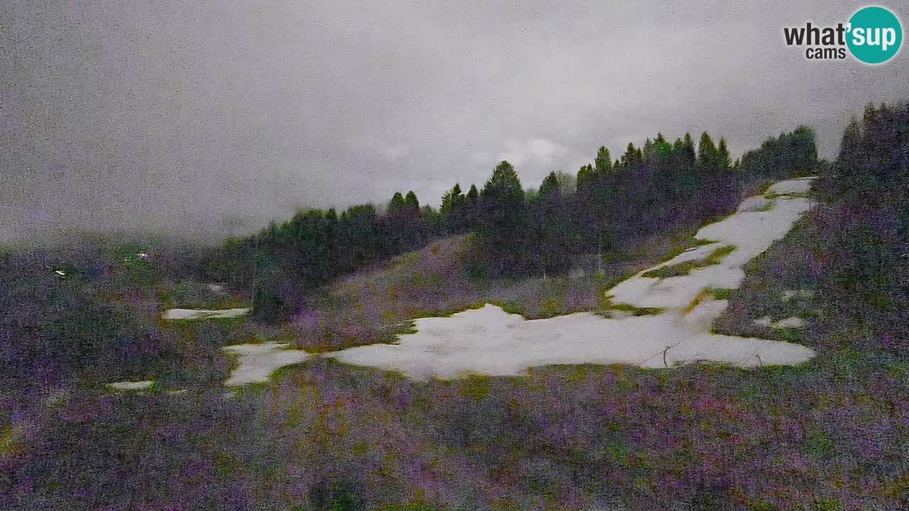 Webcam Smučišče Senožeta – Skigebiet in Srednja Vas bei Bohinj