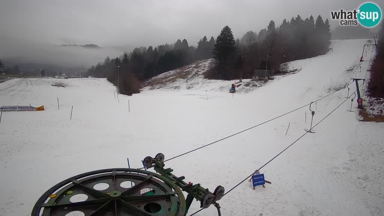 Webcam Smučišče Senožeta – Ski Resort Live View near Bohinj