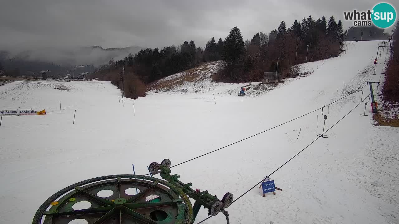 Webcam Smučišče Senožeta – Ski Resort Live View near Bohinj