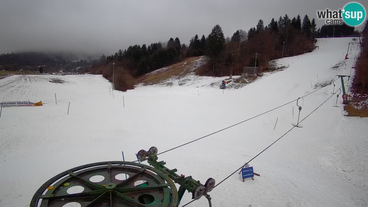 Webcam Smučišče Senožeta – Skigebiet in Srednja Vas bei Bohinj