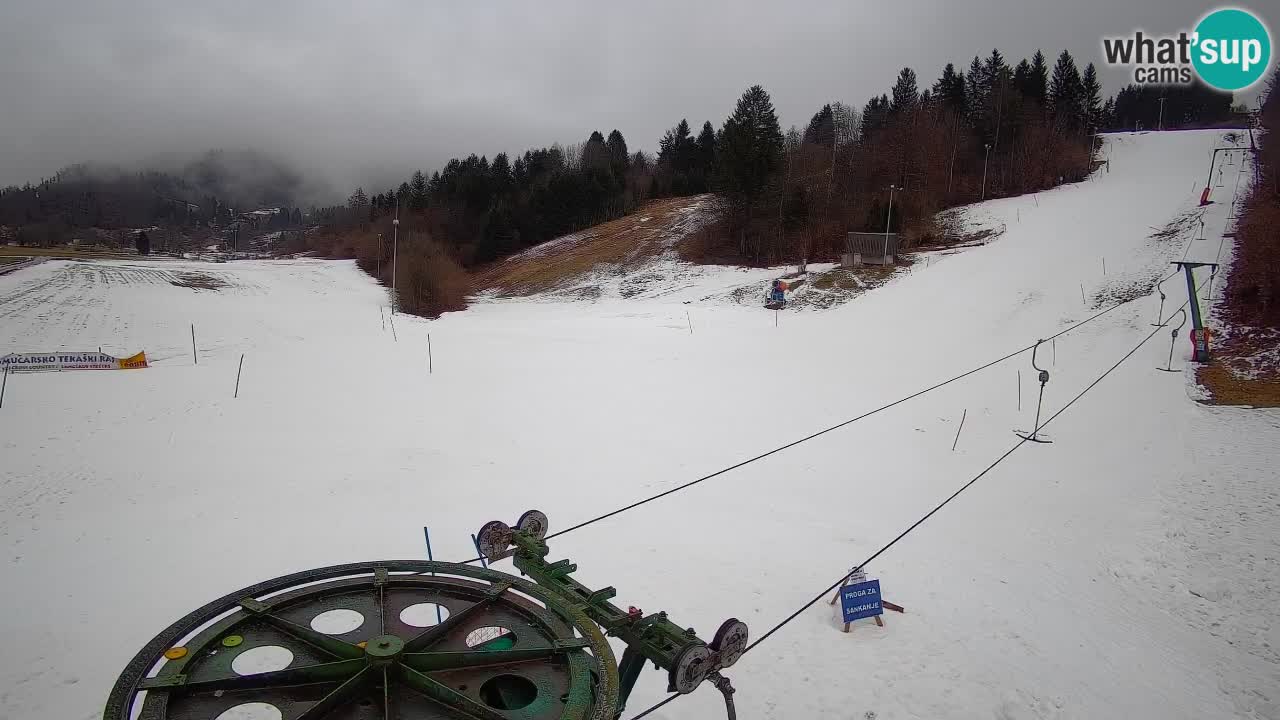 Webcam Smučišče Senožeta – Ski Resort Live View near Bohinj