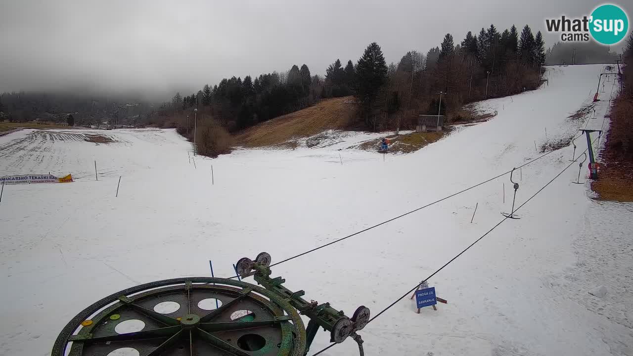 Webcam Smučišče Senožeta – Stazione sciistica a Srednja Vas vicino Bohinj