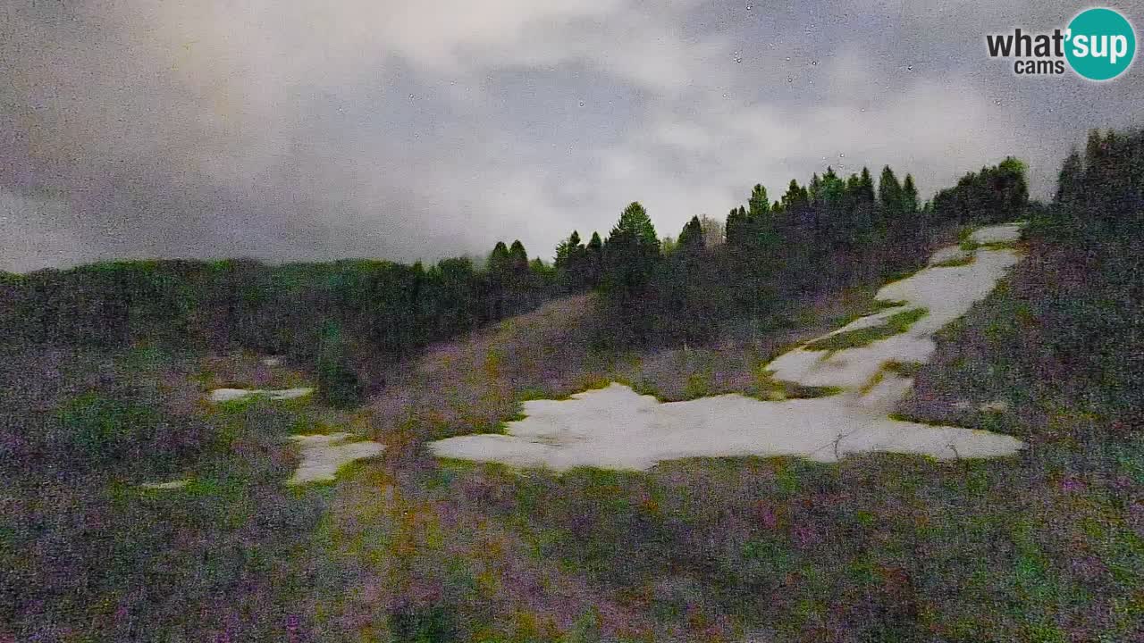 Webcam Smučišče Senožeta – Skigebiet in Srednja Vas bei Bohinj