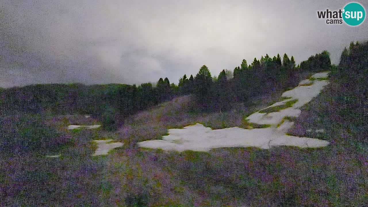 Webcam Smučišče Senožeta – Ski Resort Live View near Bohinj