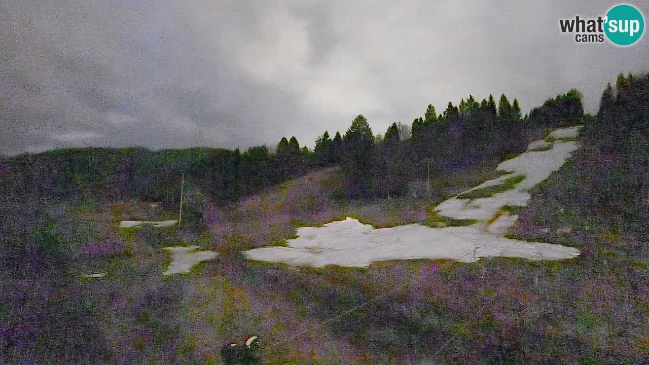 Webcam Smučišče Senožeta – Ski Resort Live View near Bohinj