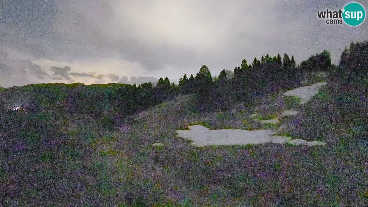 Webcam Smučišče Senožeta – Ski Resort Live View near Bohinj