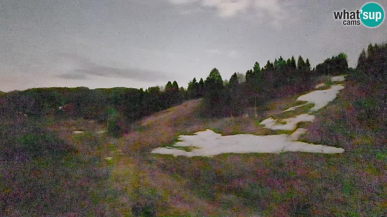 Webcam Smučišče Senožeta – Ski Resort Live View near Bohinj