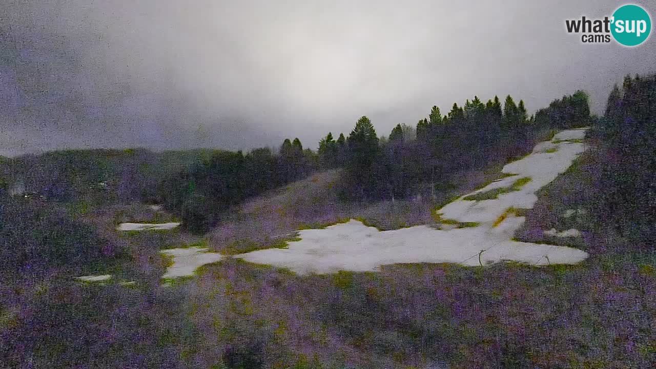 Webcam Smučišče Senožeta – Ski Resort Live View near Bohinj