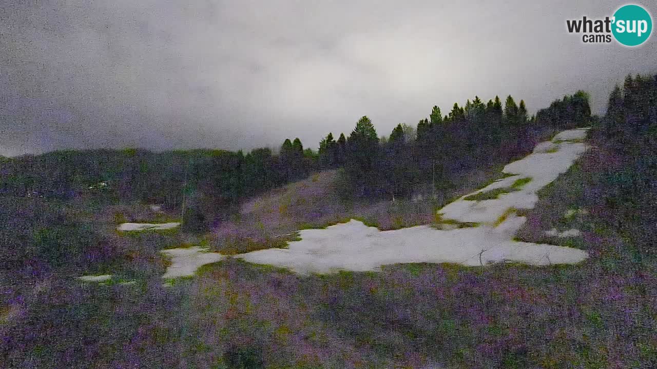 Webcam Smučišče Senožeta – Ski Resort Live View near Bohinj