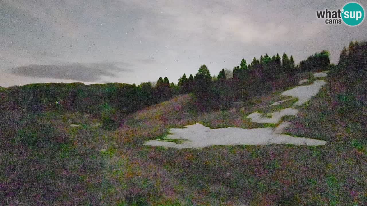 Webcam Smučišče Senožeta – Skigebiet in Srednja Vas bei Bohinj