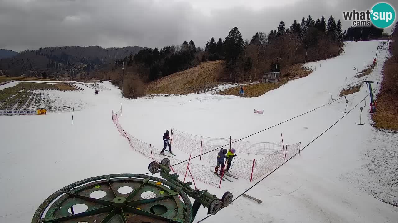 Webcam Smučišče Senožeta – Ski Resort Live View near Bohinj