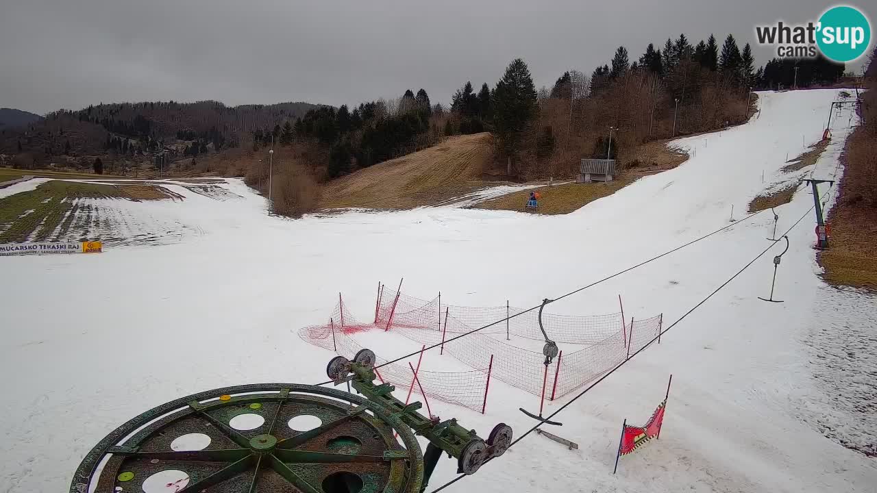 Webcam Smučišče Senožeta – Skigebiet in Srednja Vas bei Bohinj