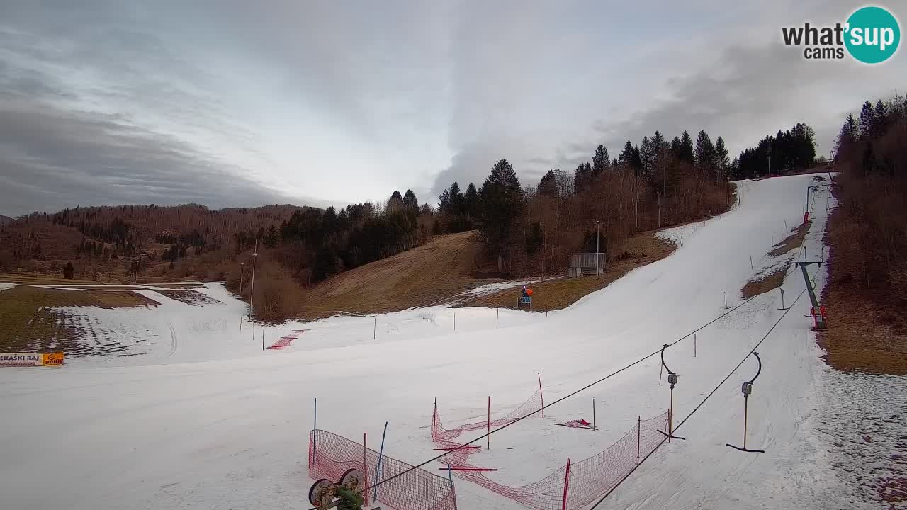 Webcam Smučišče Senožeta – Skigebiet in Srednja Vas bei Bohinj