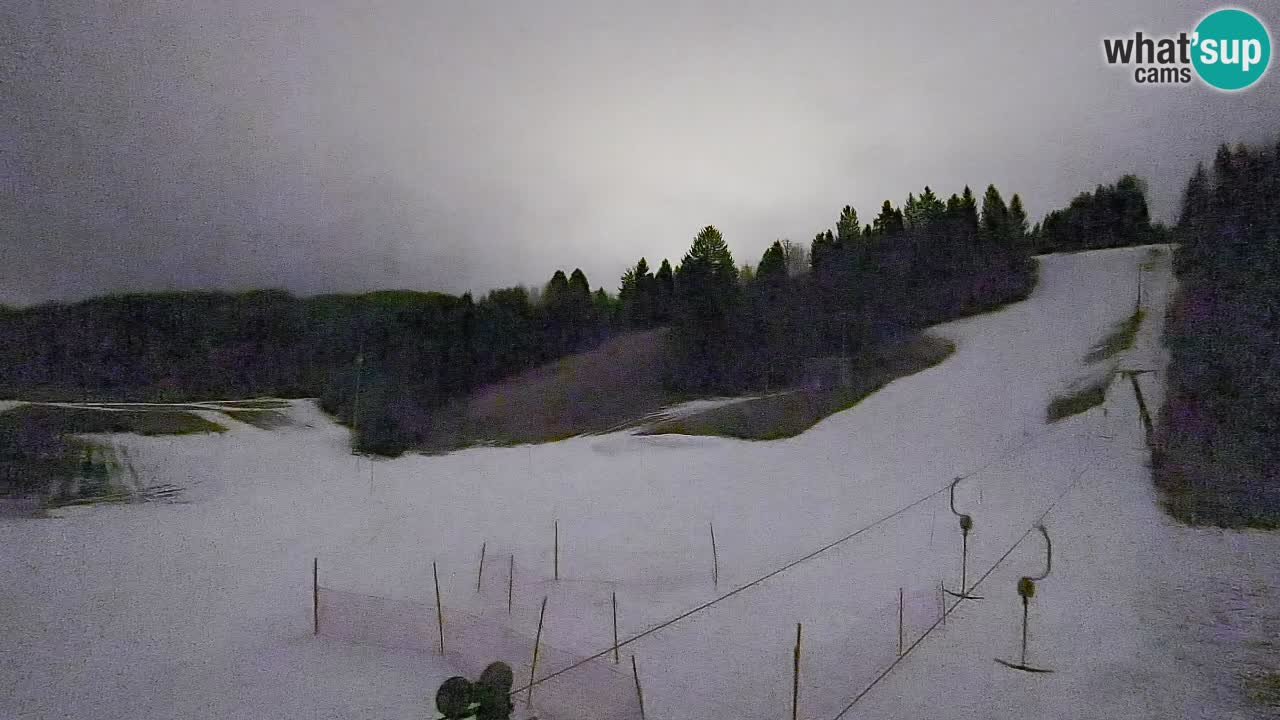 Webcam Smučišče Senožeta – Ski Resort Live View near Bohinj