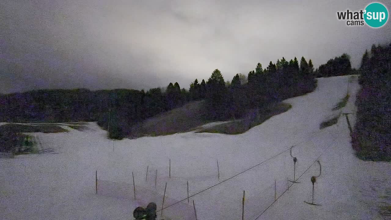 Webcam Smučišče Senožeta – Stazione sciistica a Srednja Vas vicino Bohinj