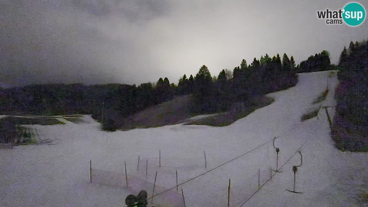 Webcam Smučišče Senožeta – Ski Resort Live View near Bohinj