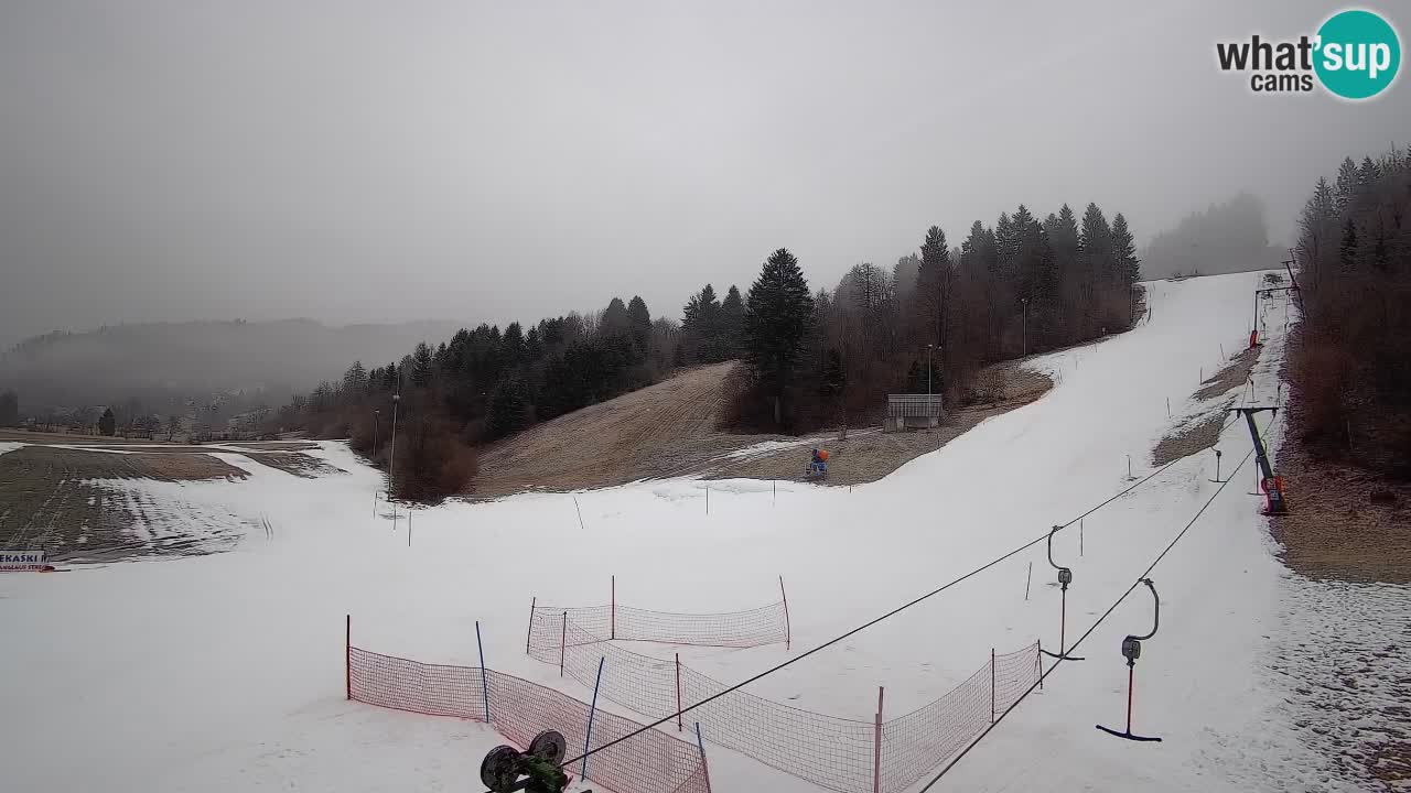 Webcam Smučišče Senožeta – Skigebiet in Srednja Vas bei Bohinj