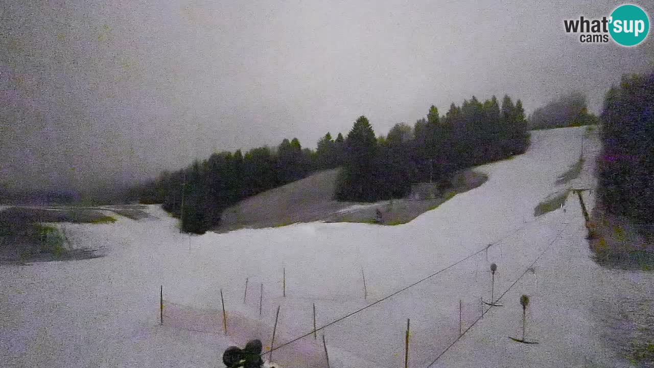 Webcam Smučišče Senožeta – Skigebiet in Srednja Vas bei Bohinj