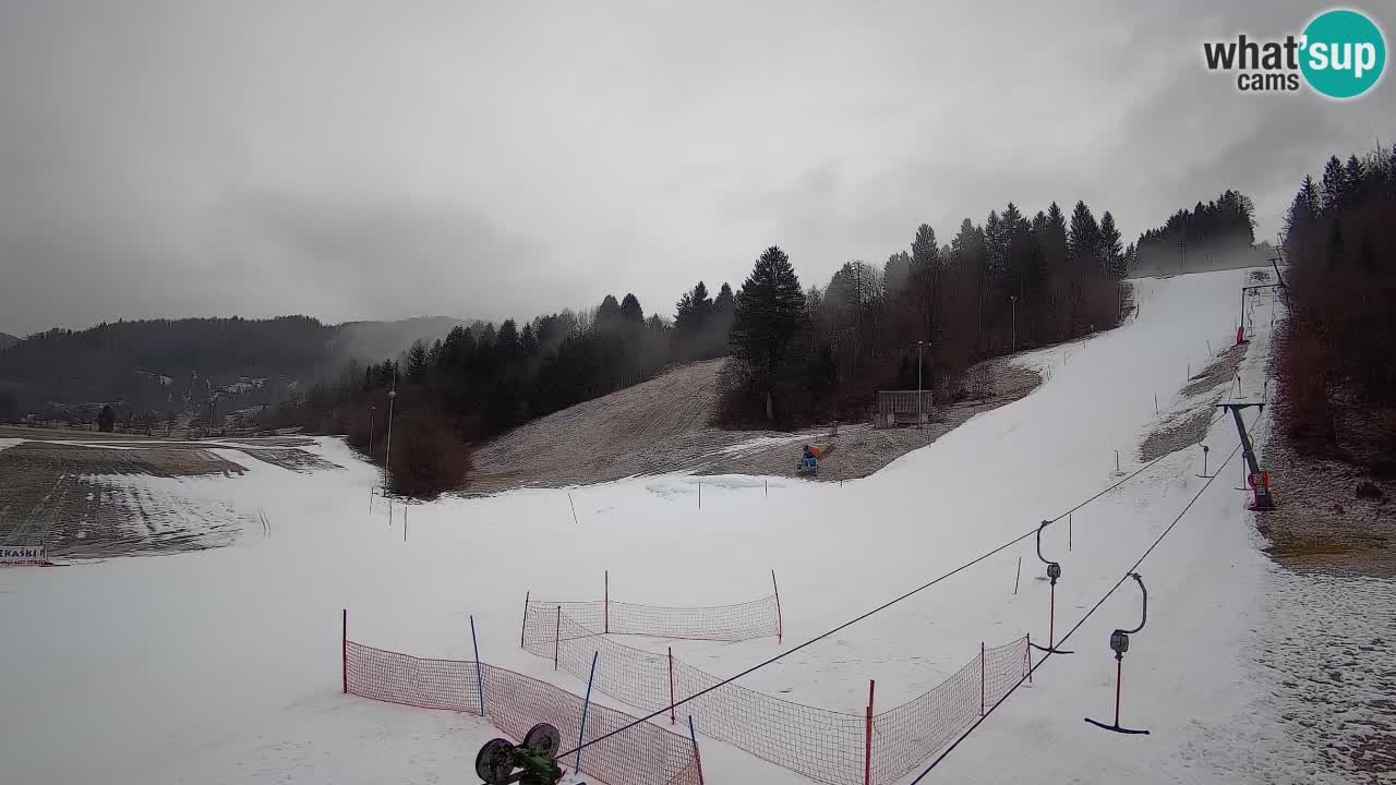 Webcam Smučišče Senožeta – Ski Resort Live View near Bohinj