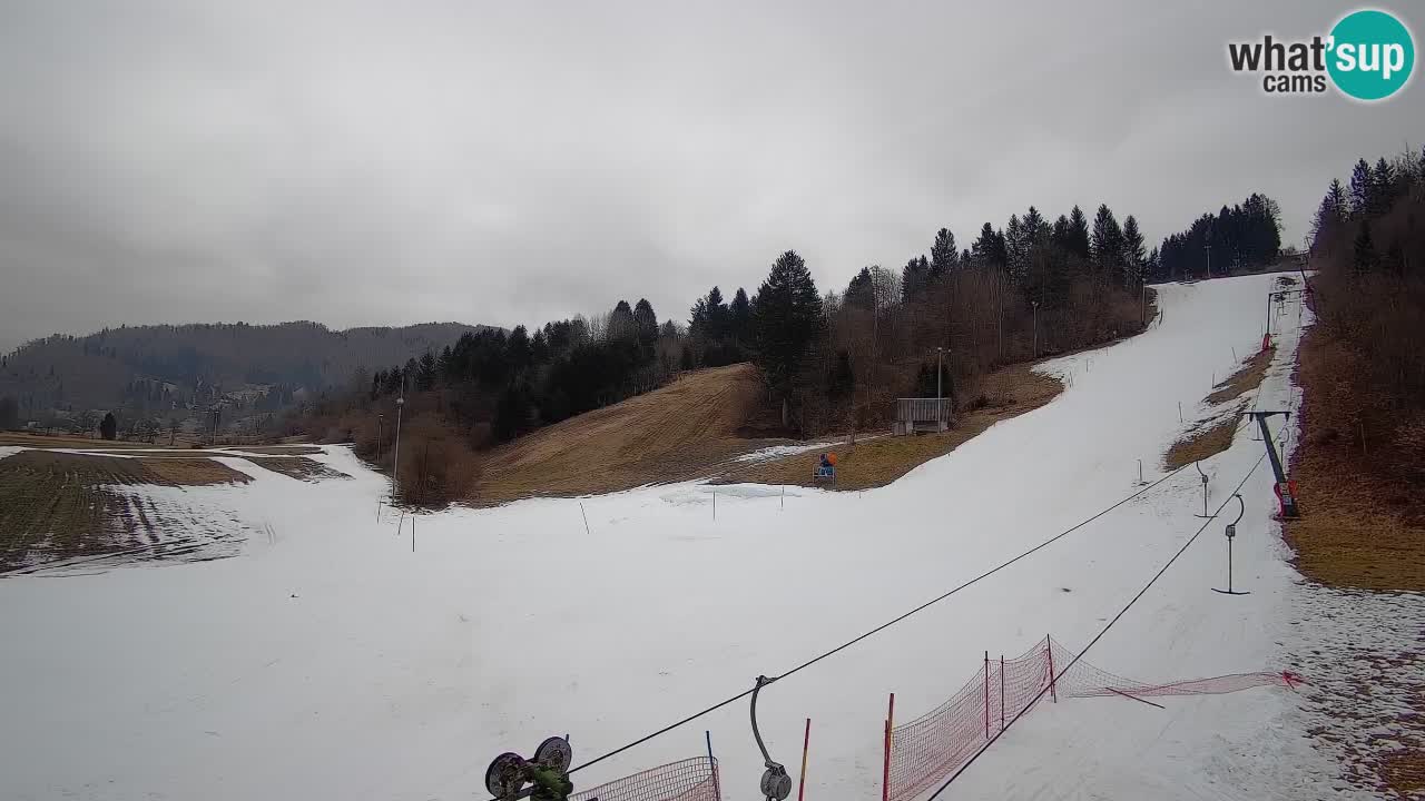 Webcam Smučišče Senožeta – Ski Resort Live View near Bohinj