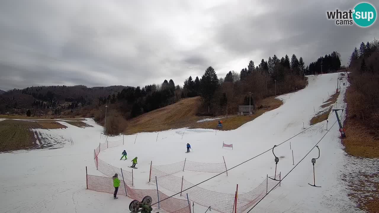 Webcam Smučišče Senožeta – Ski Resort Live View near Bohinj