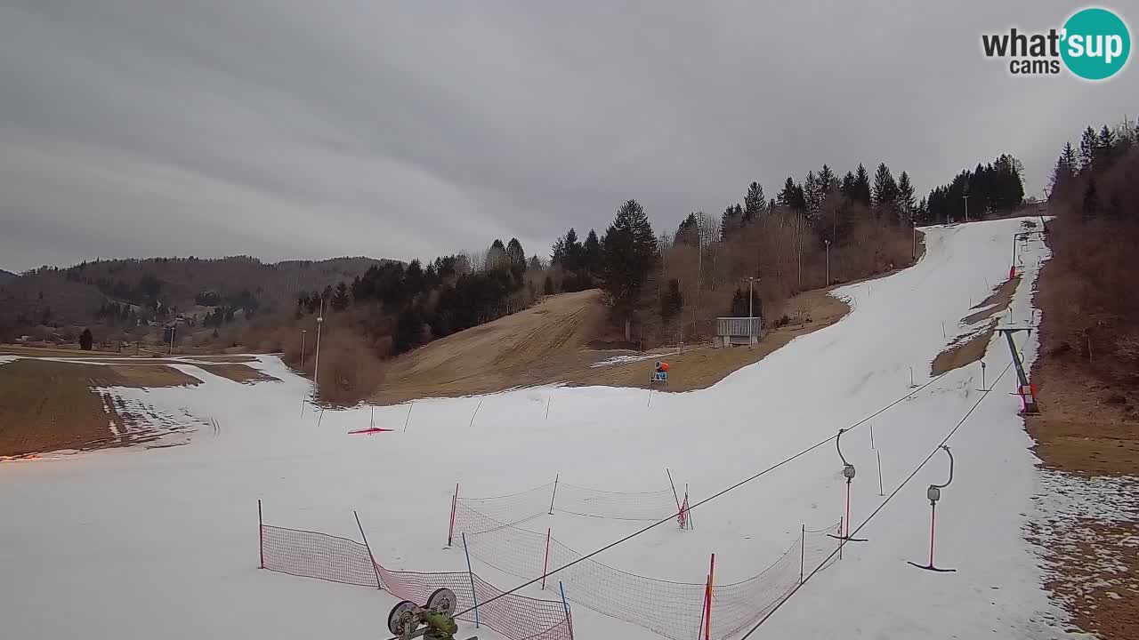 Webcam Smučišče Senožeta – Ski Resort Live View near Bohinj