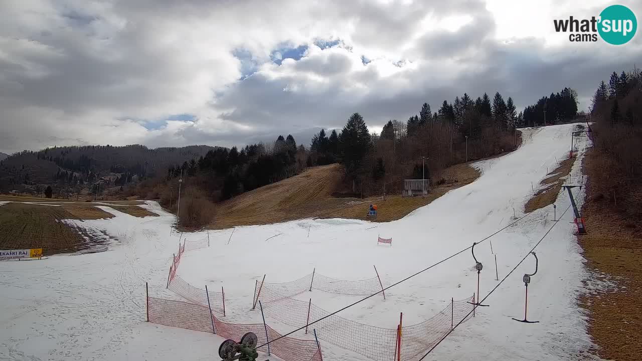 Webcam Smučišče Senožeta – Ski Resort Live View near Bohinj