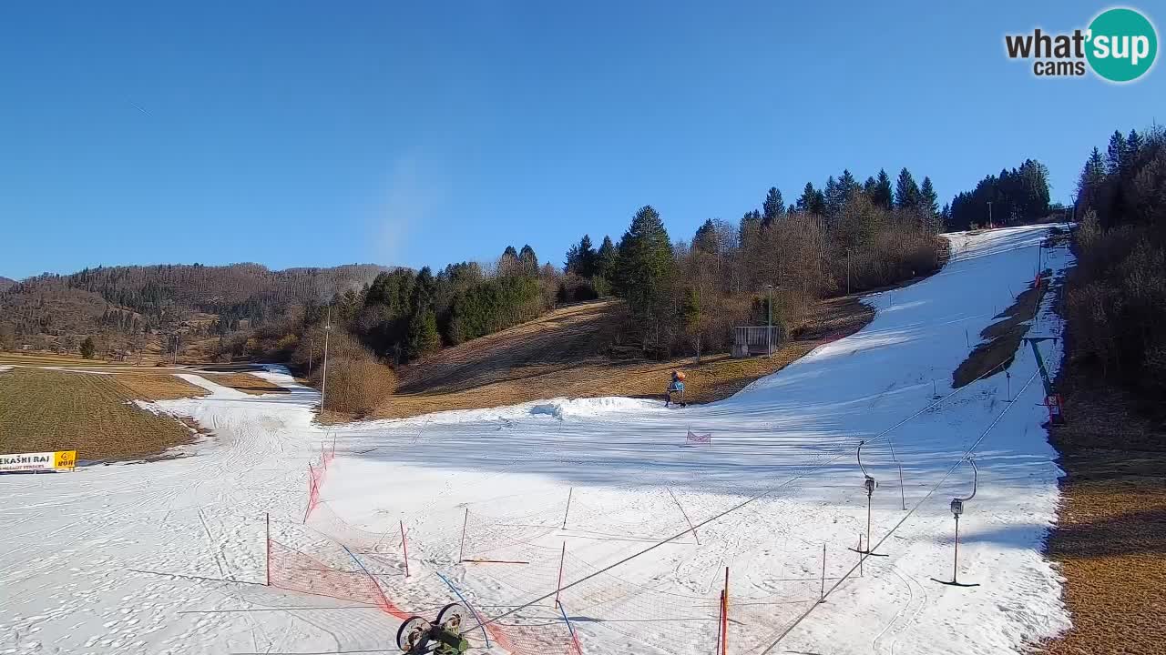 Webcam Smučišče Senožeta – Stazione sciistica a Srednja Vas vicino Bohinj