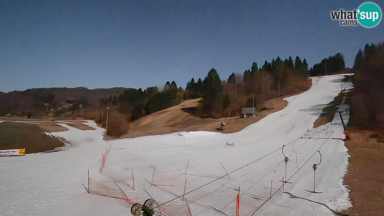Web kamera Smučišče Senožeta – Skijalište u Srednjoj Vasi kod Bohinja