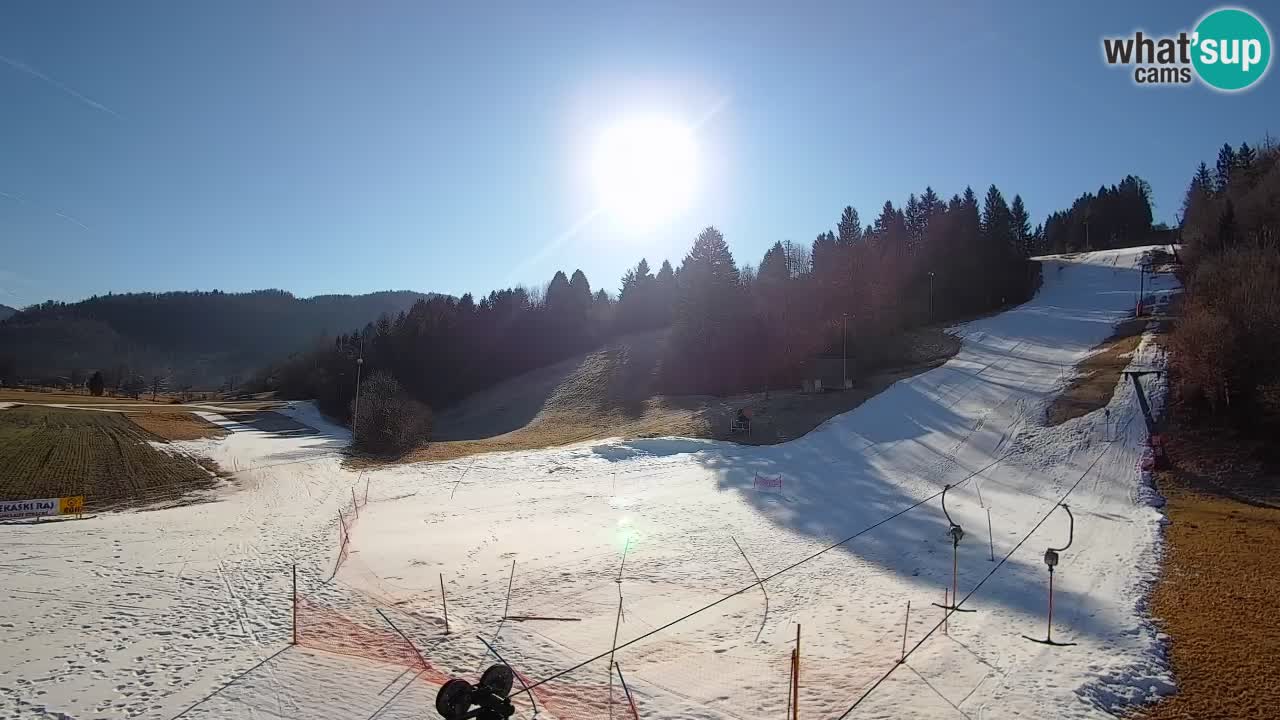Spletna kamera Smučišče Senožeta – smučarsko središče v Srednji vasi pri Bohinju