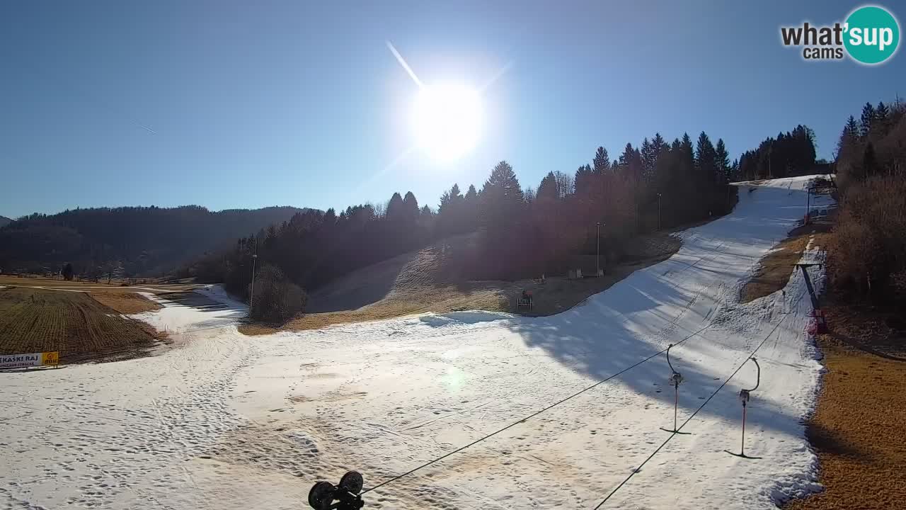 Webcam Smučišče Senožeta – Stazione sciistica a Srednja Vas vicino Bohinj