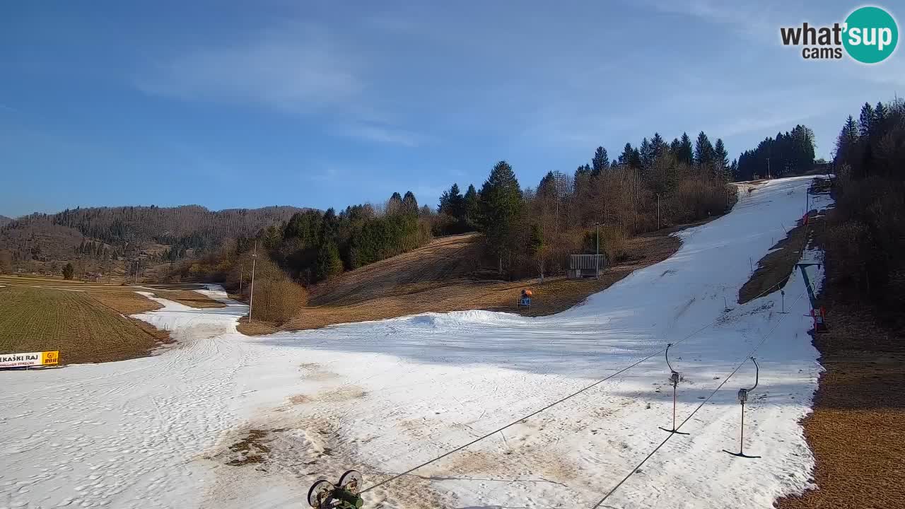 Web kamera Smučišče Senožeta – Skijalište u Srednjoj Vasi kod Bohinja