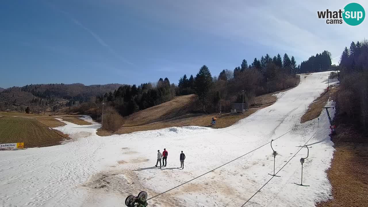 Webcam Smučišče Senožeta – Ski Resort Live View near Bohinj