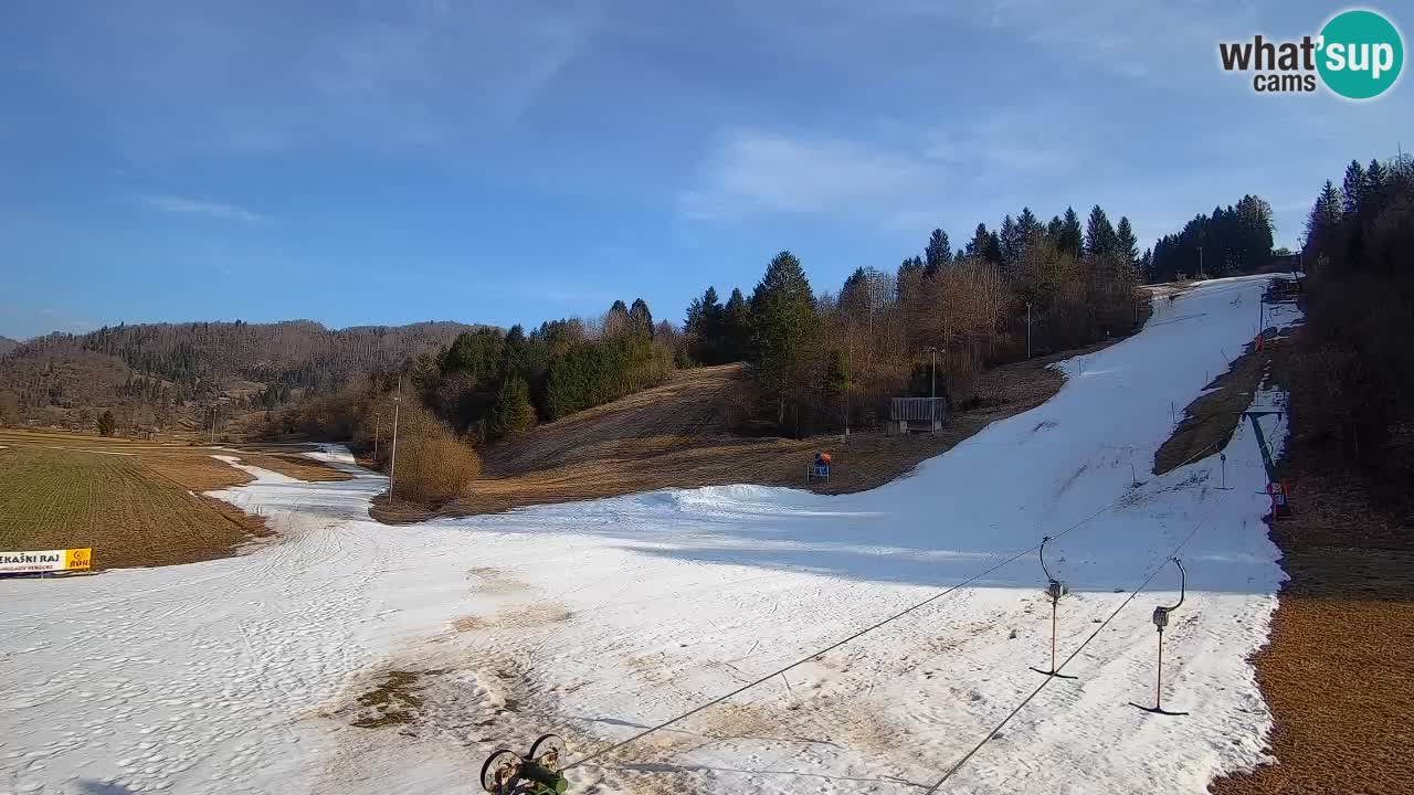 Webcam Smučišče Senožeta – Skigebiet in Srednja Vas bei Bohinj
