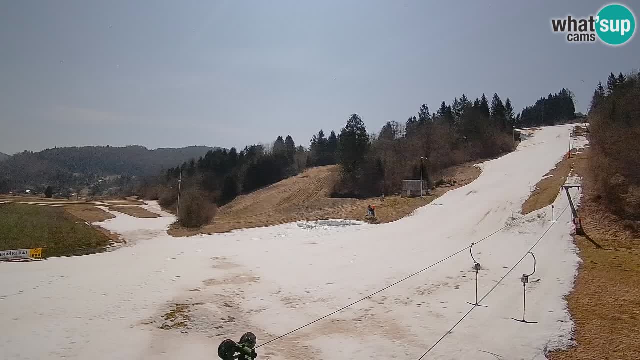 Webcam Smučišče Senožeta – Ski Resort Live View near Bohinj