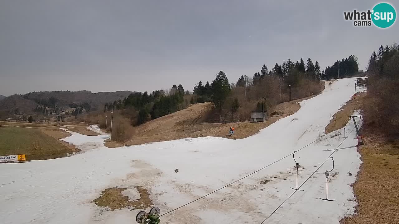 Webcam Smučišče Senožeta – Ski Resort Live View near Bohinj