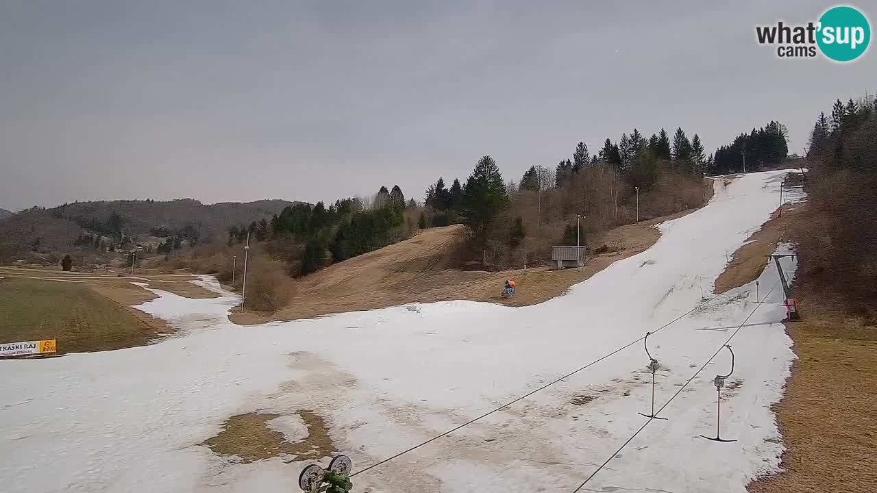 Webcam Smučišče Senožeta – Ski Resort Live View near Bohinj