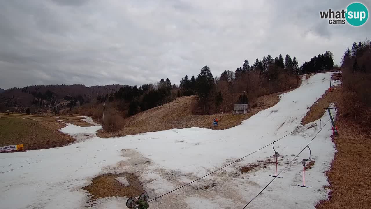 Web kamera Smučišče Senožeta – Skijalište u Srednjoj Vasi kod Bohinja