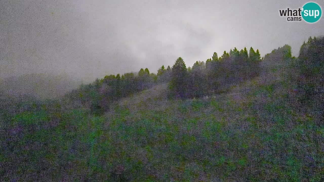 Webcam Smučišče Senožeta – Ski Resort Live View near Bohinj