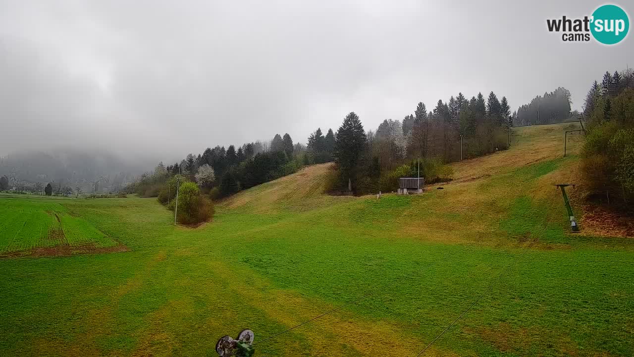 Webcam Smučišče Senožeta – Ski Resort Live View near Bohinj
