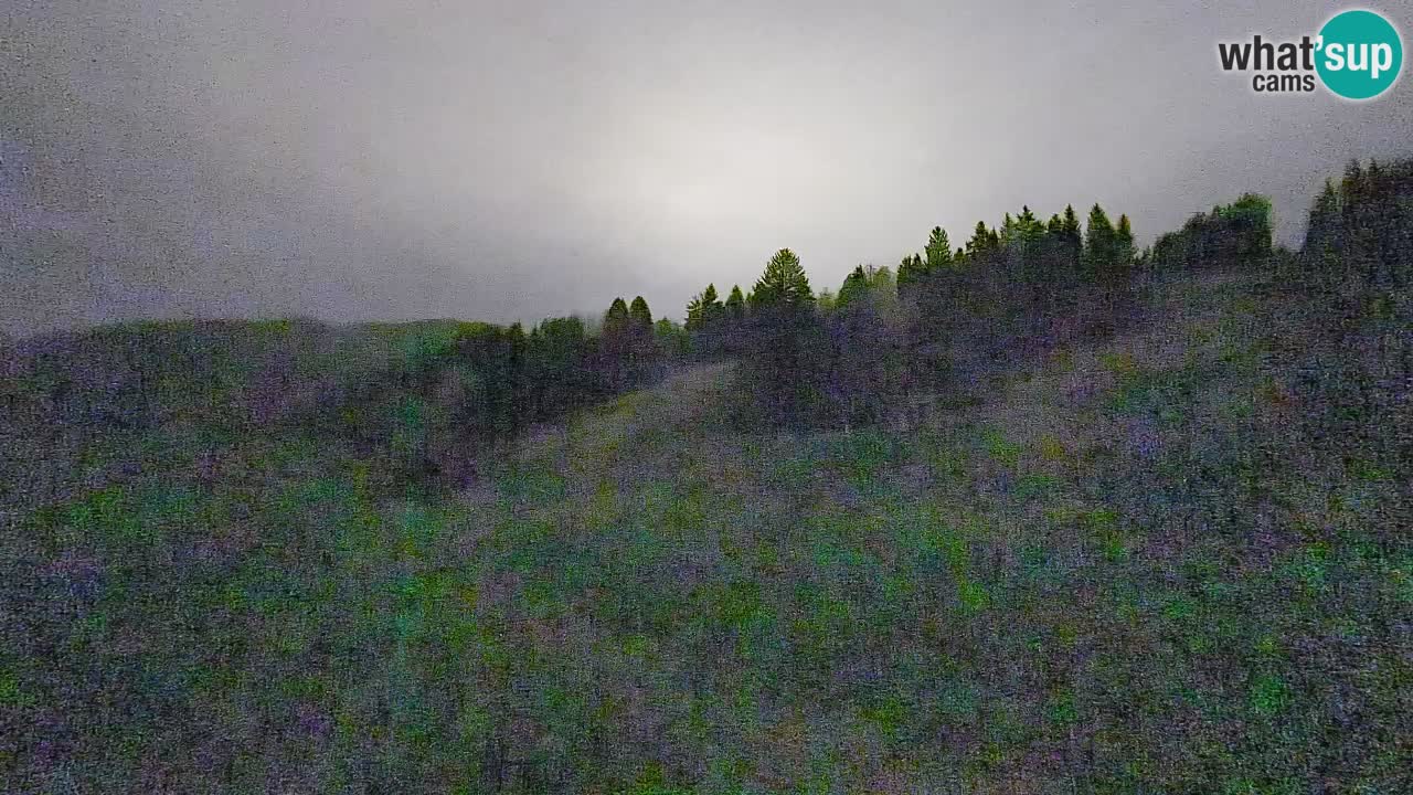 Webcam Smučišče Senožeta – Stazione sciistica a Srednja Vas vicino Bohinj