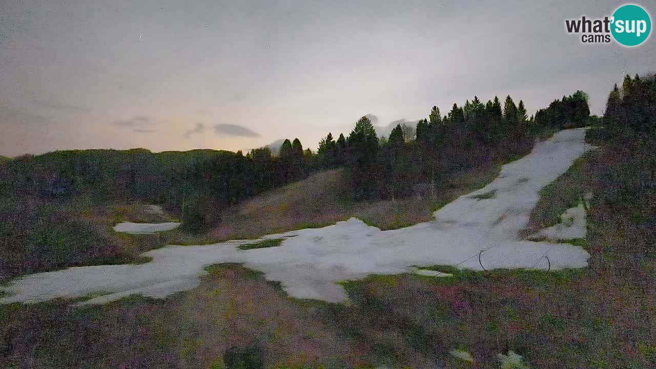 Webcam Smučišče Senožeta – Ski Resort Live View near Bohinj